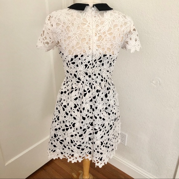 EUC Aqua Capsule Lace Dress w/Collar Size M - Picture 3 of 5